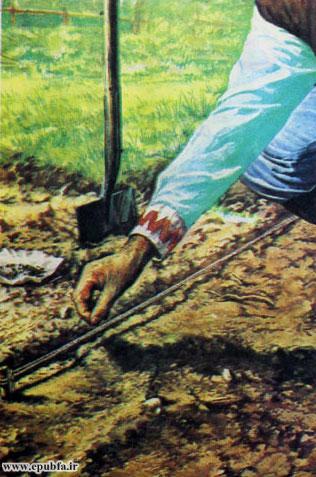 او بذر شلغم و هویج و چغندر و چیزهای دیگر را در فصل مناسب در زمین میکاشت